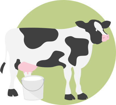 Cow and bucket illustration